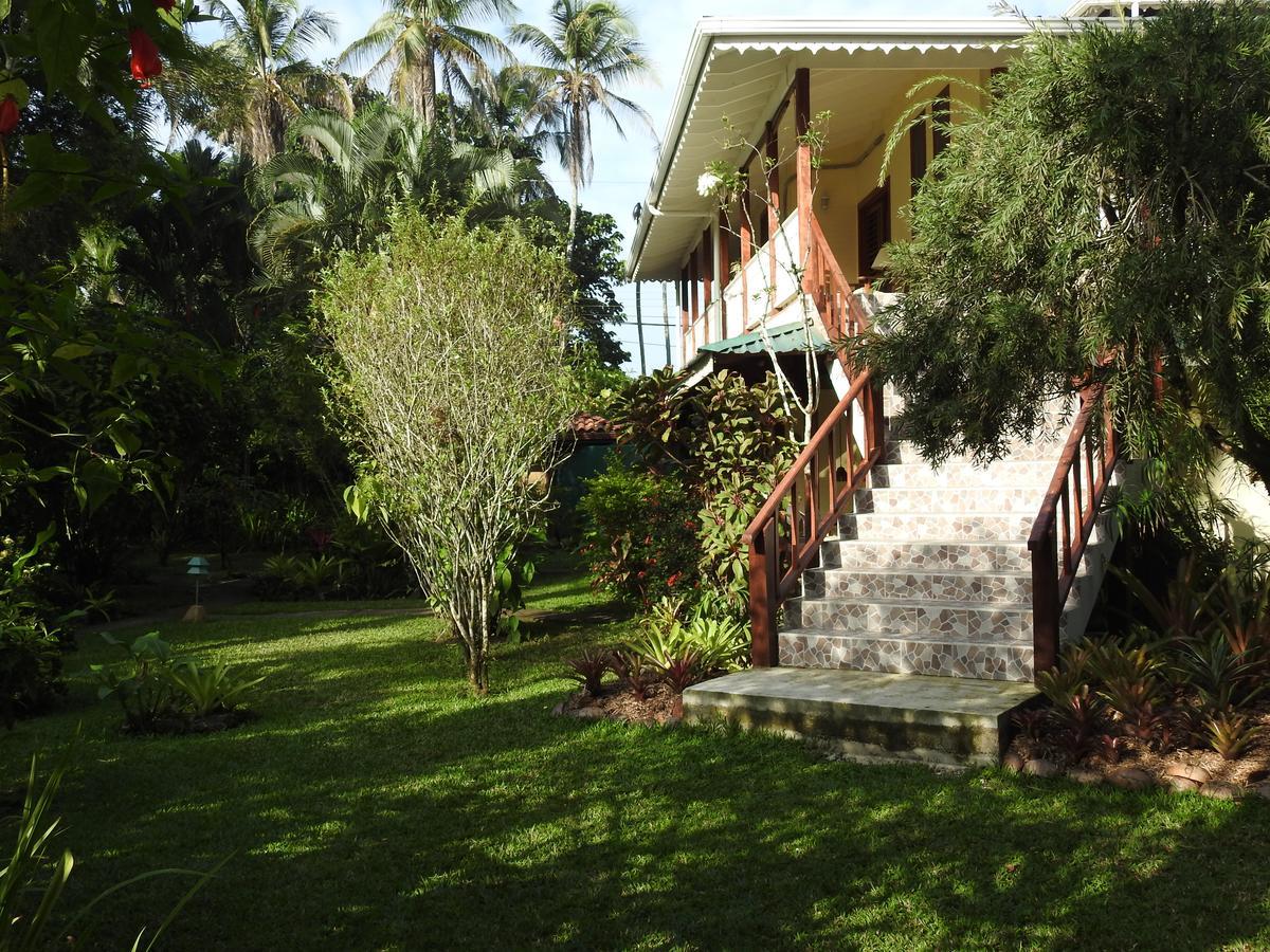 Playa Negra Guesthouse Cahuita Εξωτερικό φωτογραφία