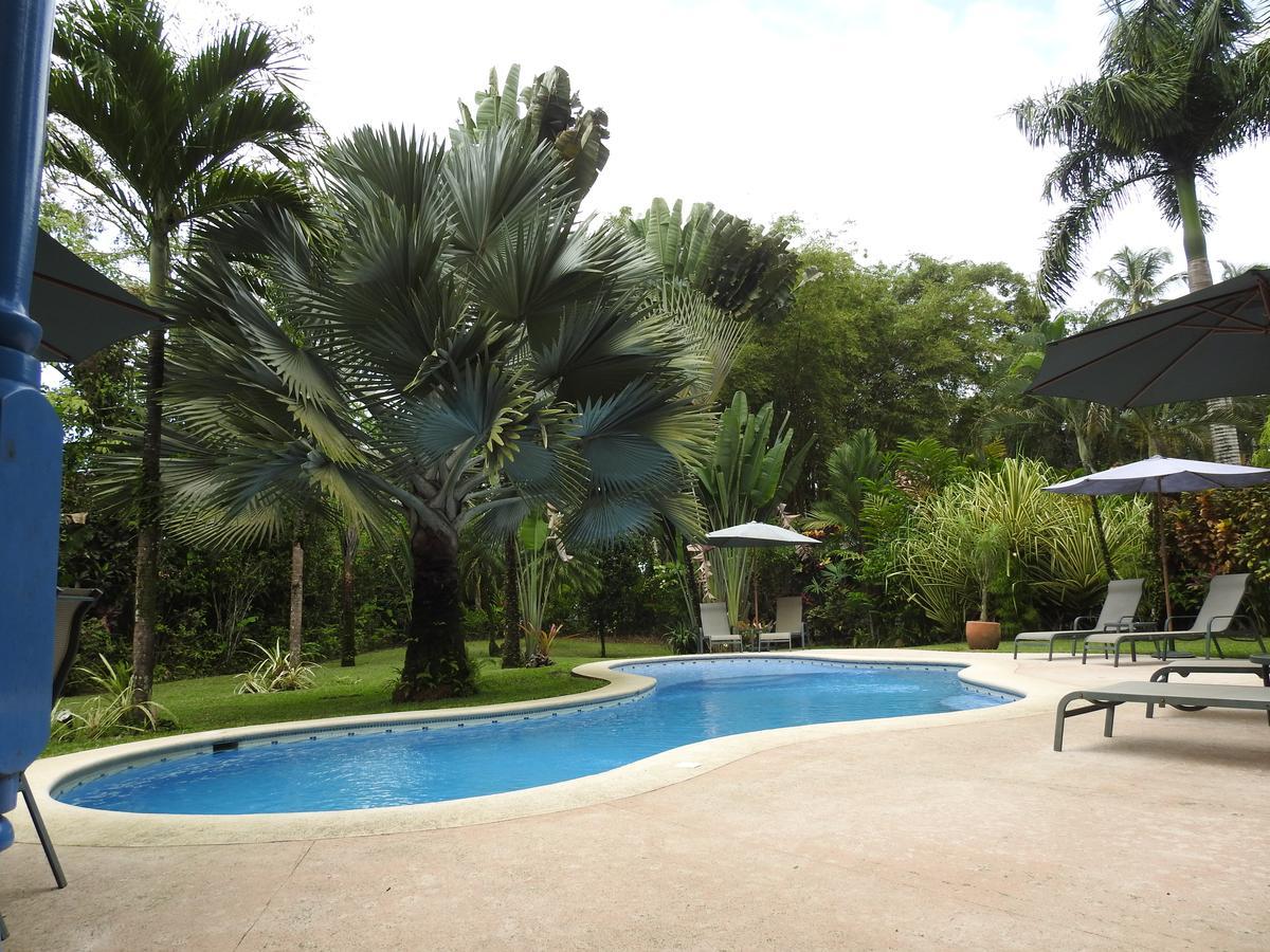 Playa Negra Guesthouse Cahuita Εξωτερικό φωτογραφία