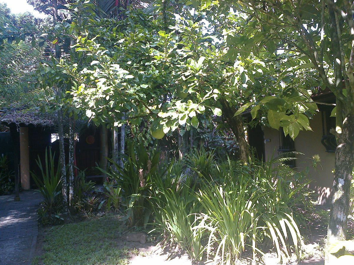 Playa Negra Guesthouse Cahuita Εξωτερικό φωτογραφία