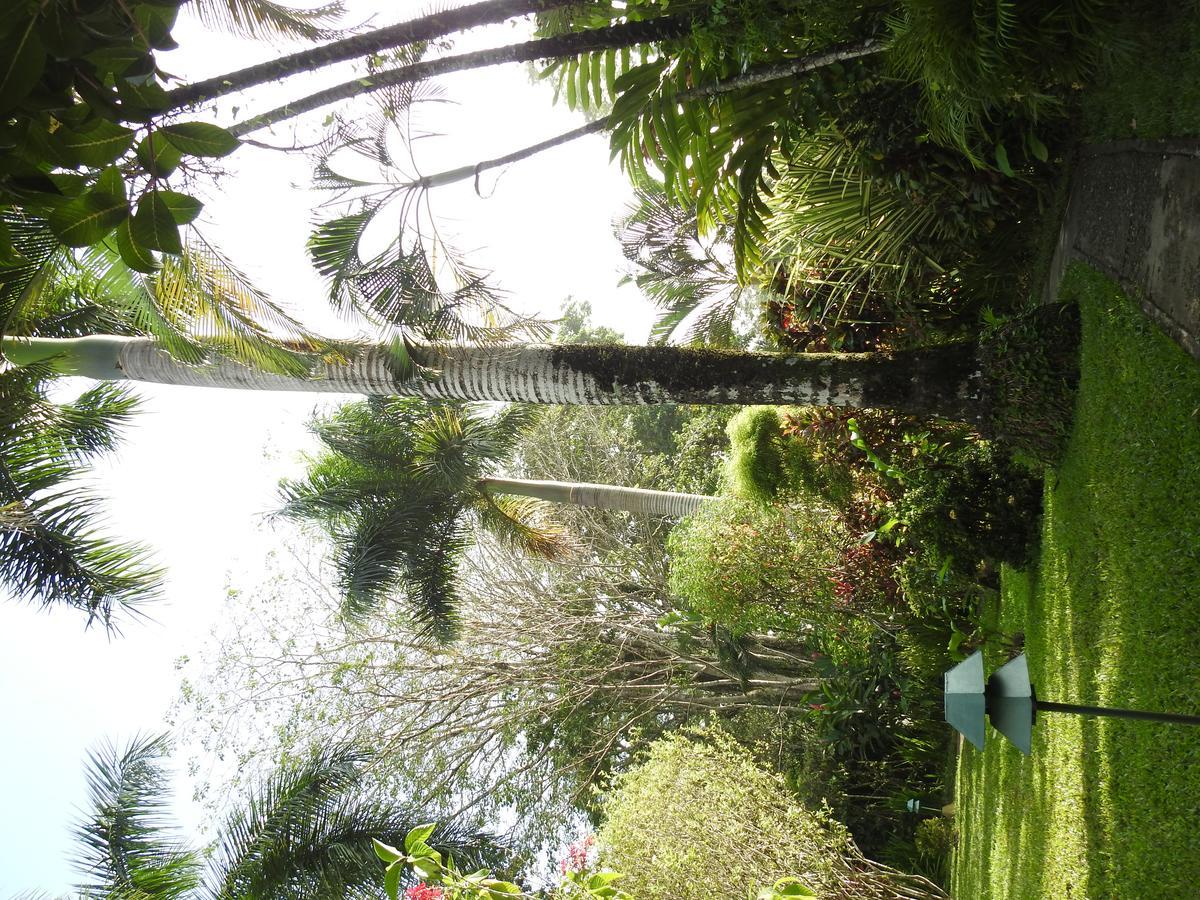 Playa Negra Guesthouse Cahuita Εξωτερικό φωτογραφία
