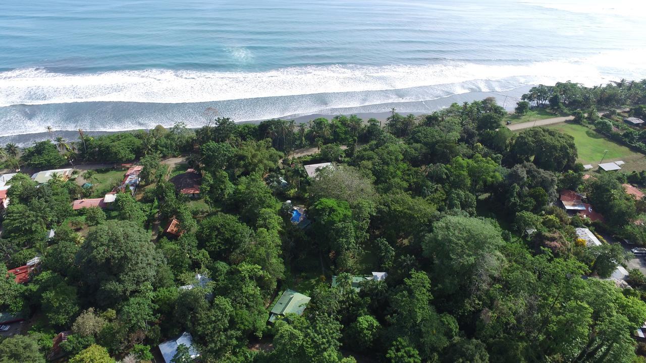 Playa Negra Guesthouse Cahuita Εξωτερικό φωτογραφία