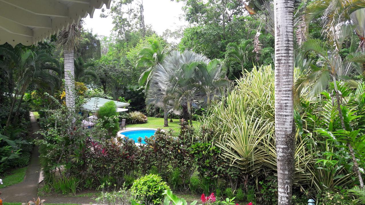 Playa Negra Guesthouse Cahuita Εξωτερικό φωτογραφία