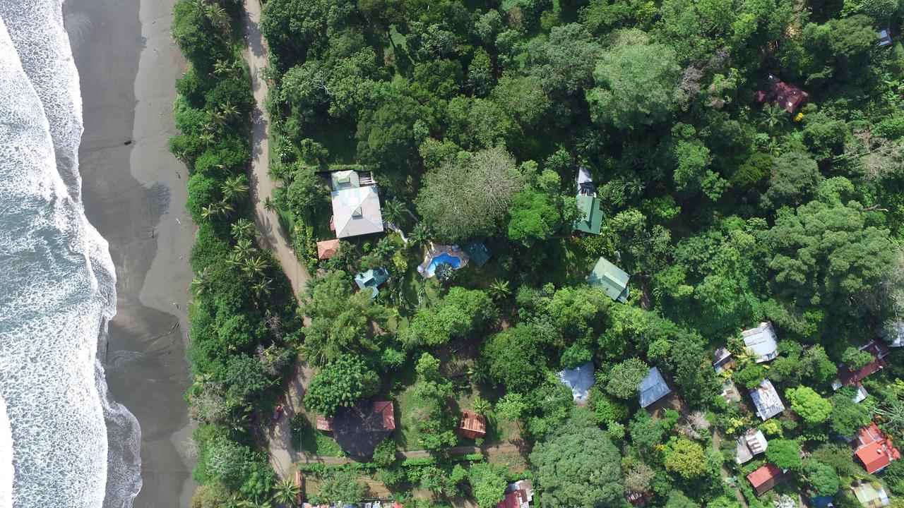 Playa Negra Guesthouse Cahuita Εξωτερικό φωτογραφία