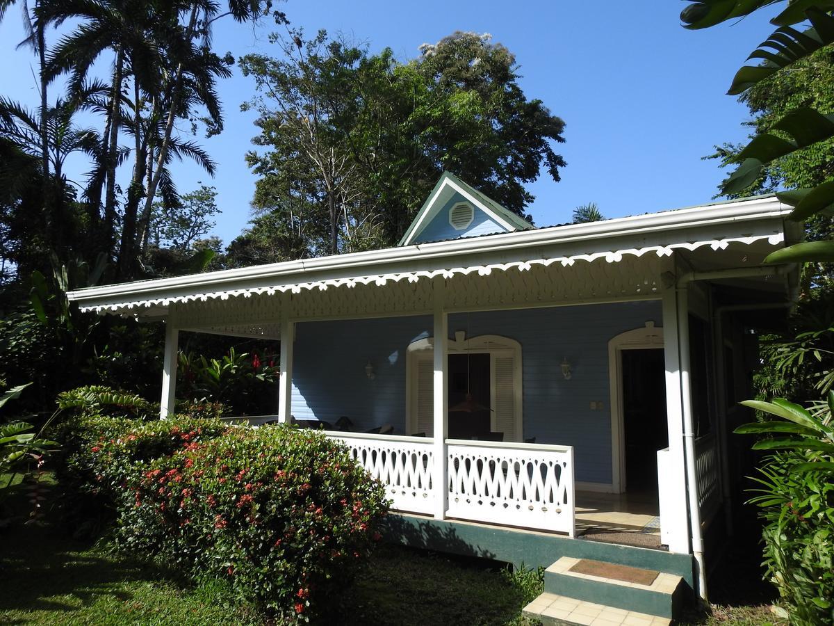Playa Negra Guesthouse Cahuita Εξωτερικό φωτογραφία