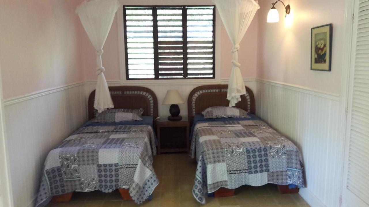 Playa Negra Guesthouse Cahuita Εξωτερικό φωτογραφία