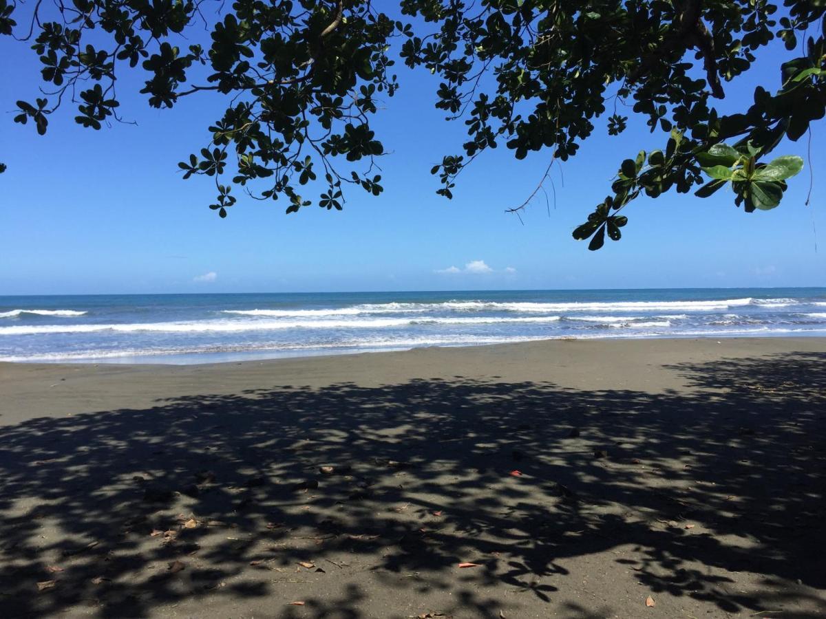 Playa Negra Guesthouse Cahuita Εξωτερικό φωτογραφία